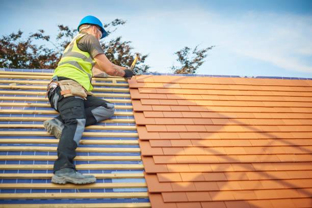 Best Roof Moss and Algae Removal  in Pleasant Gap, PA